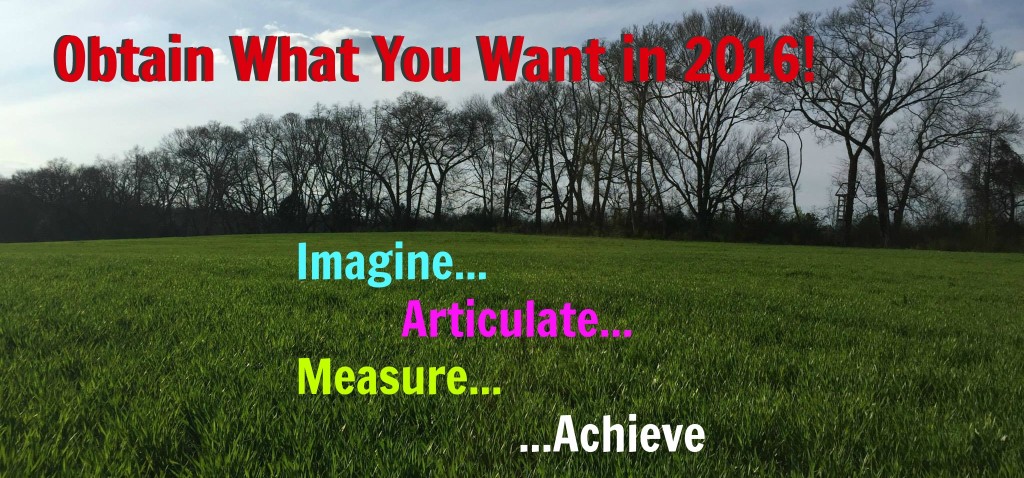 obtain what you want in 2016
