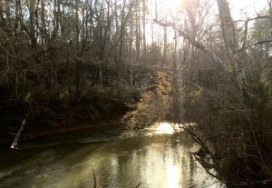 The Chickamauga Creek that borders our property